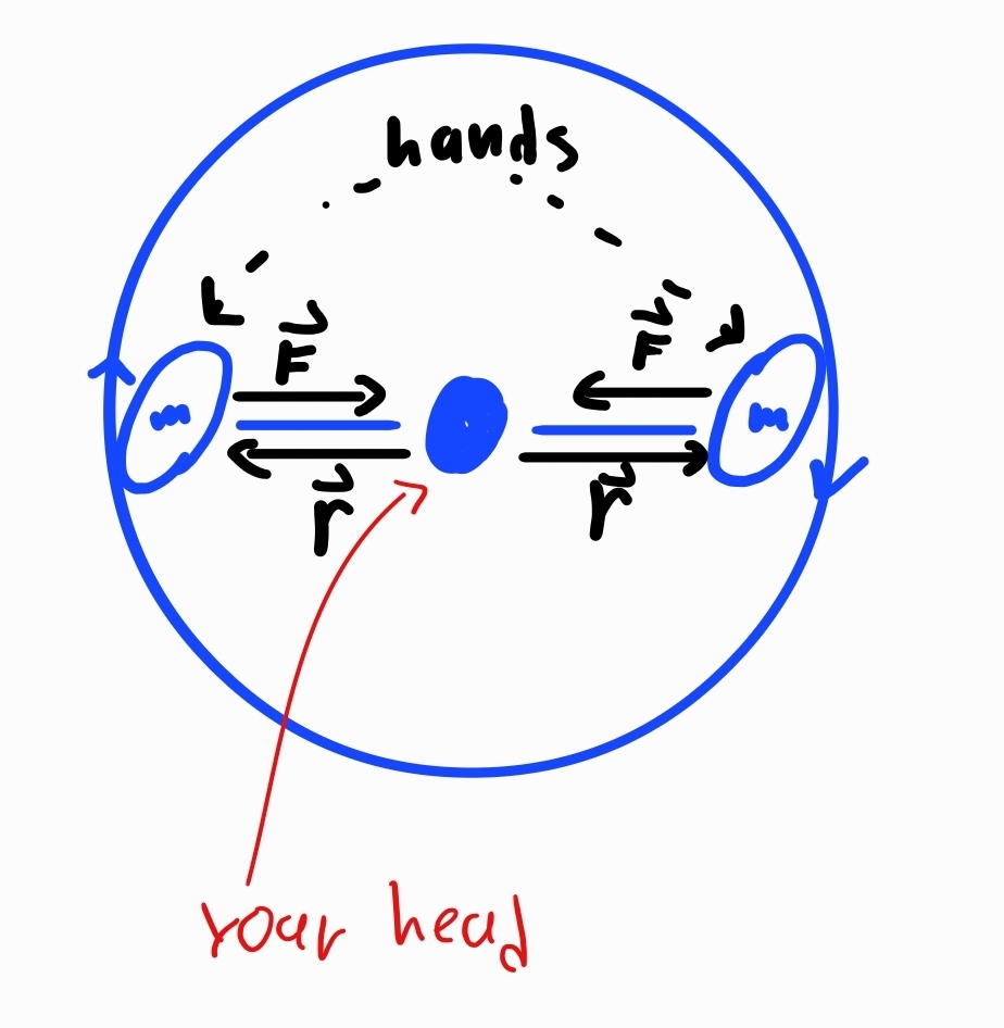 force diagram of the person spinning